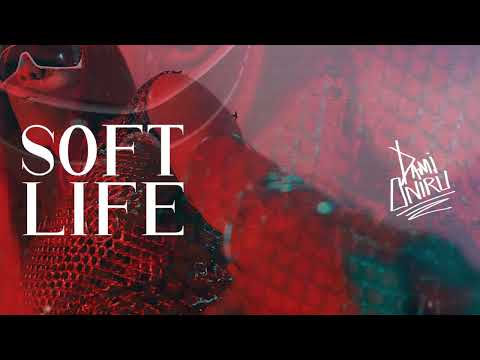 Dami Oniru - Soft Life (Official Audio)