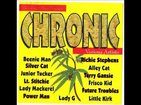 Chronic riddim Mix 1995 (Shocking Vibes) By Djeasy
