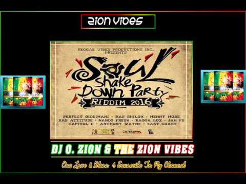 Soul Shake Down Party Riddim ✶ Promo Mix February 2016✶➤Reggae Vibes Prod By DJ O. ZION