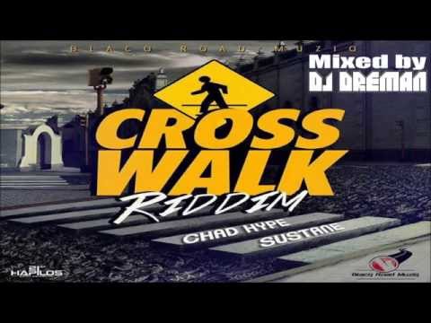 Cross Walk Riddim Mix (May 2014, Blacq Road Muziq) @DJDreman