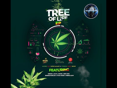 Tree Of Life Riddim (Mix-Mar 2021) Nature&#039;s Way Ent./Typhoon Music Group / Ginjah, Alva, Matik.