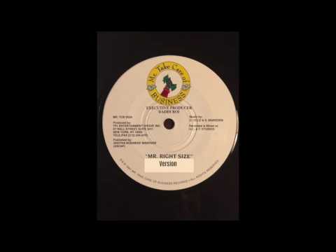 Right Size Riddim Mix (Mr. Take Care Of Business, 1997)