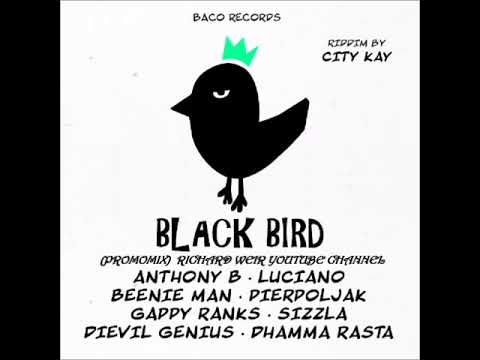 BLACK BIRD RIDDIM (Mix-Feb 2019) BACO RECORDS