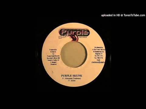 Dj Shakka - Purple Skunk Riddim Mix - 2003