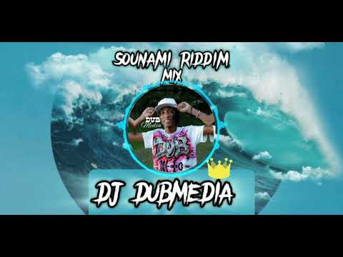 Sounami Riddim Mix [DJ DubMedia]