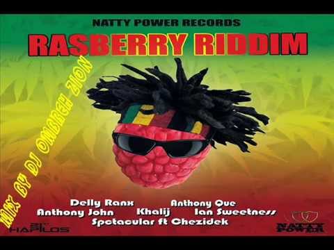 Rasberry Riddim ( JAN 2015) NATTY POWER RECORDS