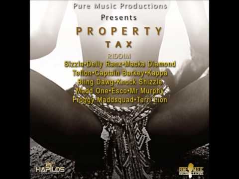DJ Rudeboy&#039;s Property Tax Riddim Mix Feb 2013