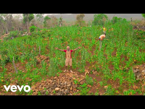Lutan Fyah - Weed Oooooh (Official Music Video)