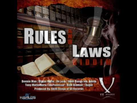 Rules &amp; Laws Riddim Mix 2011 [VX Records] (Brand New April 2011)