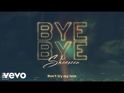Shenseea - Bye Bye (Official Lyric Video)