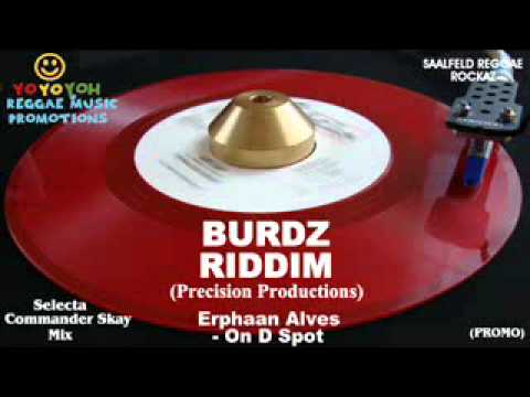Burdz Riddim Mix [December 2011] Precision Productions