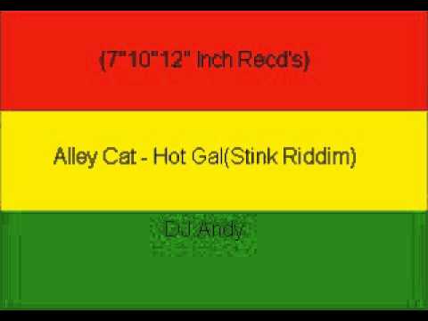 Alley Cat - Hot Gal(Stink Riddim)