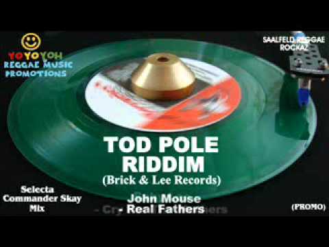 Tod Pole Riddim Mix [October 2011] [Mix November 2011] Brick &amp; Lee Records