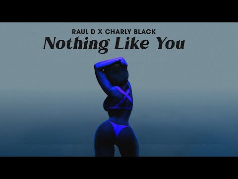 Raul D x Charly Black - Nothing Like You