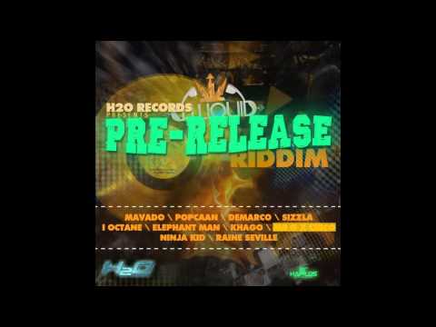 Pre-Release Riddim Mix (August 2012)