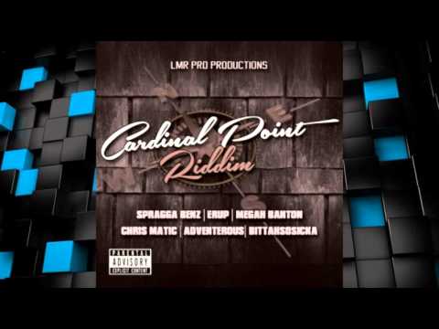 Cardinal Point Riddim 2015 mix [LMR Pro Productions] (Dj CashMoney)