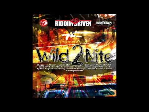 Wild 2 Nite Riddim Mix (2006) Shaggy,Macka Diamond,Degree,Mad Cobra,Elephant Man,Kiprich,Lady Saw &amp;+