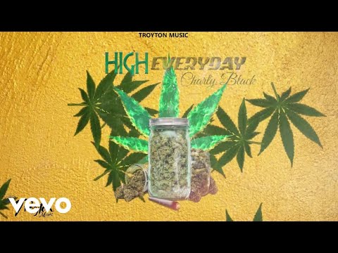 Charly Black - High Everyday (Official Audio)