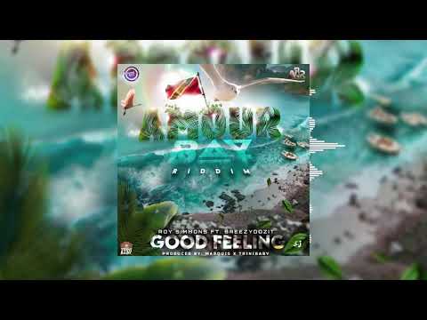 Good Feeling- Roy Simmons ft. BreezyDozIt (Official Audio Visualizer)