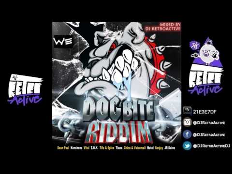 DJ RetroActive - Dog Bite Riddim Mix [Washroom Ent] November 2012