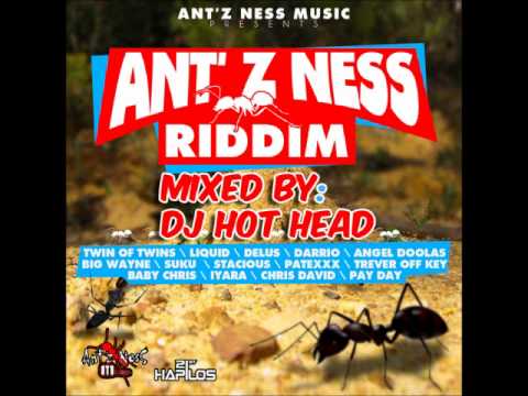 DJ Hot Head - Ant&#039;z Ness Riddim Mix - July 2012