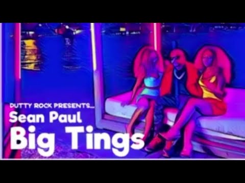 Sean Paul - Big Tings [No Caption Riddim] |Jan 2020|