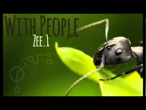 Zee1 - With People ( Grenada soca 2013) Black Ants Riddim
