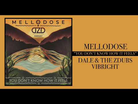 Mellodose, Dale and the ZDubs, Vibright - “You Don’t Know How It Feels”