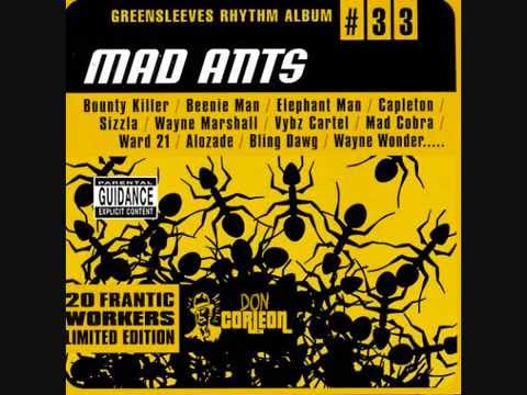 Mad Ants Riddim Mix (2002) By DJ.WOLFPAK