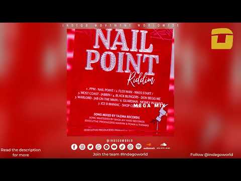 Nail Point Riddim Mega Mix - PPM | Ice D maniac | WarLord | Guardian &amp; More | 2024 Kayak Soca