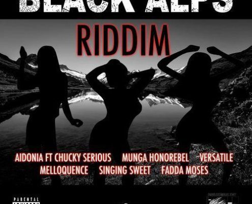04 Munga Honorebel Gyal A Bruk Out Mp3 Image