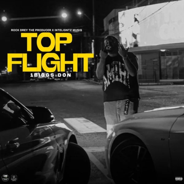 1biggs Don - Top Flight