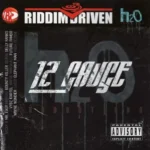 12 Gauge Riddim – Vp Records