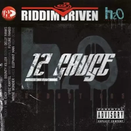 12 Gauge Riddim - Vp Records