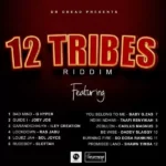 12 Tribes Riddim – Dr Dread