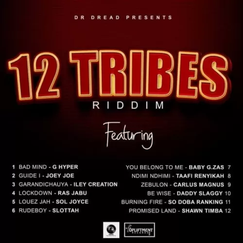 12 tribes riddim - dr dread