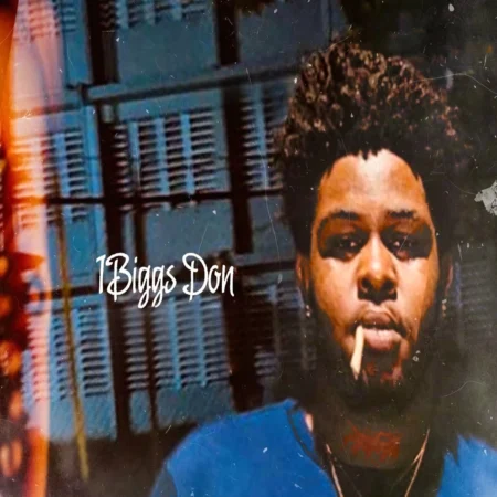 1biggs Don - Bounce Check