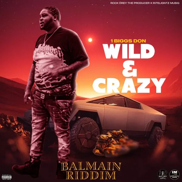 1biggs Don - Wild & Crazy