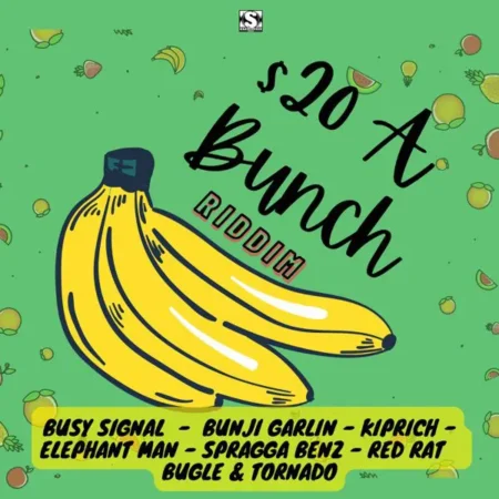 $20 A Bunch Riddim - Stainless Music