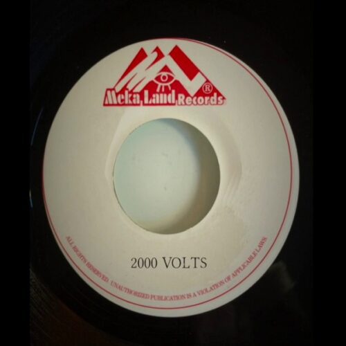 2000-volts-riddim-meka-land-records