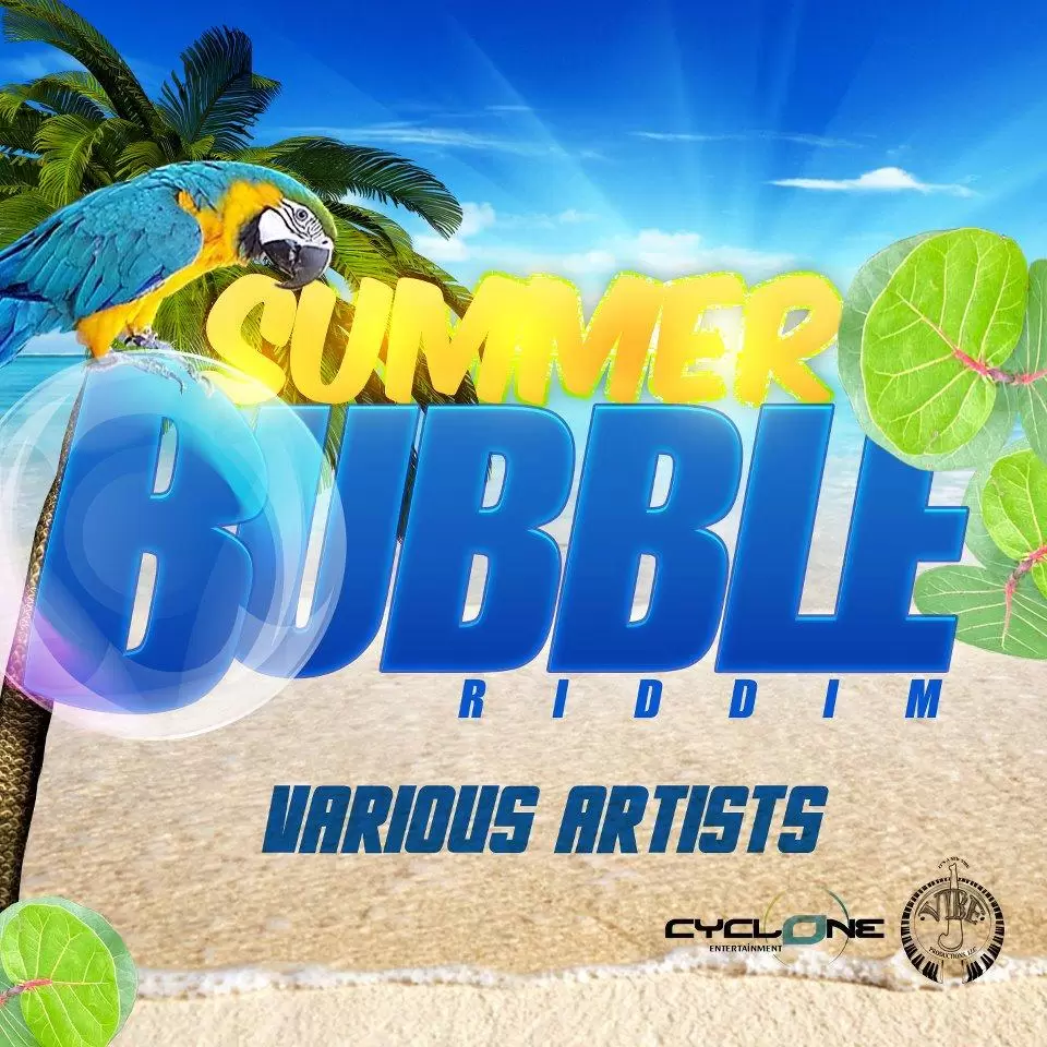 summer bubble riddim - vibe productions
