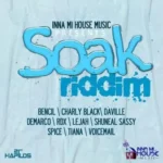 Soak Riddim – Inna Mi House Music