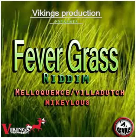 fever grass riddim - vikings production