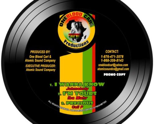 00 Fullness Of Time Riddim Cover 600x600 1