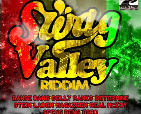 00 Swag Valley Riddim Cover 600x600 1