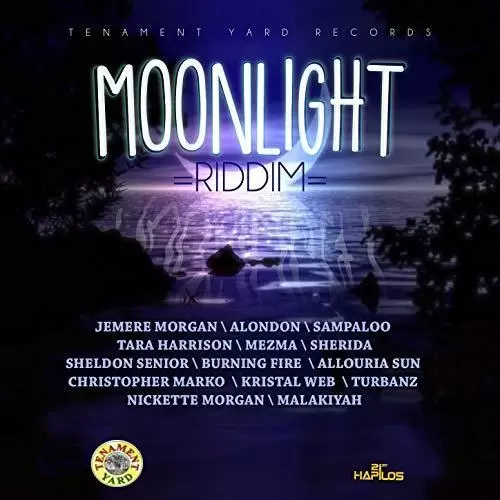 moonlight riddim - tenement yard records