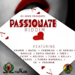 Passionate Riddim (2013) – Zj Heno