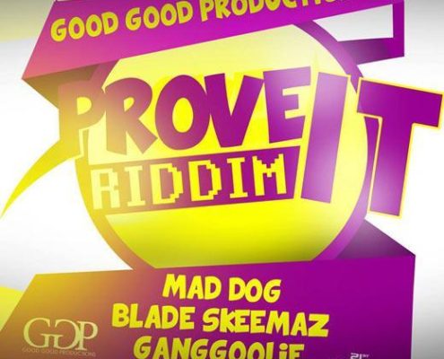 Prove It Riddim