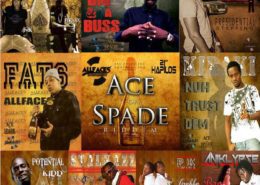 Ace Of Spade 1