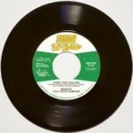 Sitting And Watching Riddim (2013) – Sly And Robbie